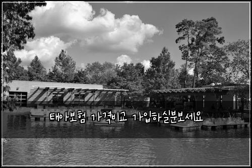 태아보험 가격비교  가입하실분보세요