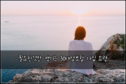 필요한것만 챙기는 30대암보험 가입 요령