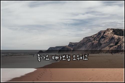 좋나요 태아보험 모두비교 