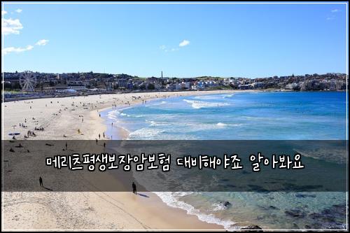 메리츠평생보장암보험 대비해야죠  알아봐요