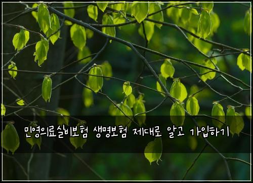 민영의료실비보험 생명보험 제대로 알고 가입하기