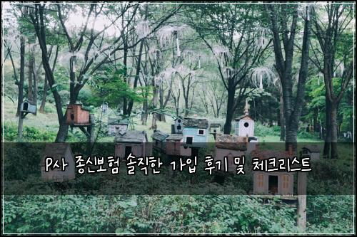 P사 종신보험 솔직한 가입 후기 및 체크리스트