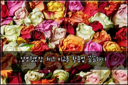 ์๋ณดํ๋ณด์ฅ ์ฒดํฌ ๋น๊ต๋ชฐ ํ์ฉ๋ฒ ๊ผผ๊ผผํ๋ค