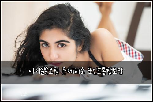 ์์ด์ค์๋ณดํ ๋ฌธ์ ํด์ ํฌ์ธํธํตํฉ๋ณด์ฅ