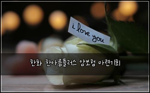한화 한아름플러스 암보험 마련기회 