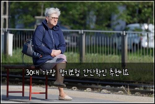 30대 가장 정기보험 간단확인  추천이요