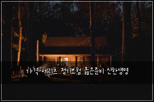 가격 메리츠 정기보험 옳은준비  신한생명