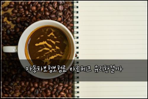 자동차보험보험료 바로체크 유리한걸까