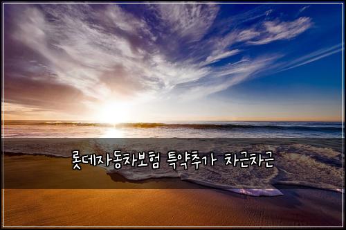 롯데자동차보험 특약추가  차근차근