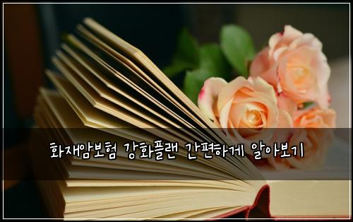화재암보험 강화플랜  간편하게 알아보기