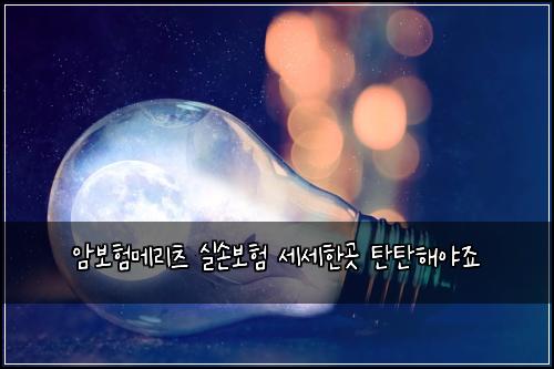 암보험메리츠 실손보험 세세한곳 탄탄해야죠