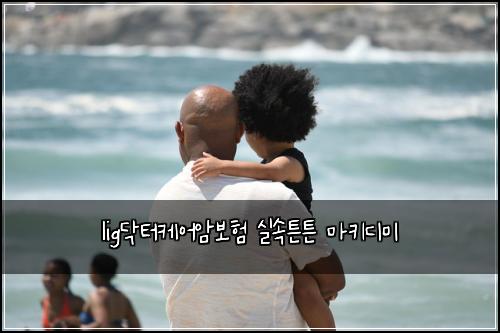 lig닥터케어암보험 실속튼튼  마키디미