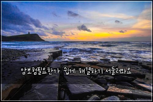 암보험필요한가 쉽게 해결하기 서둘러봐요