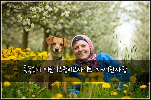 흥국실비 어린이보험비교사이트 자세한사항
