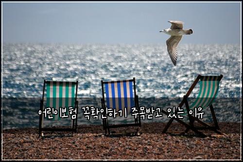 어린이보험 꼭확인하기  주목받고 있는 이유