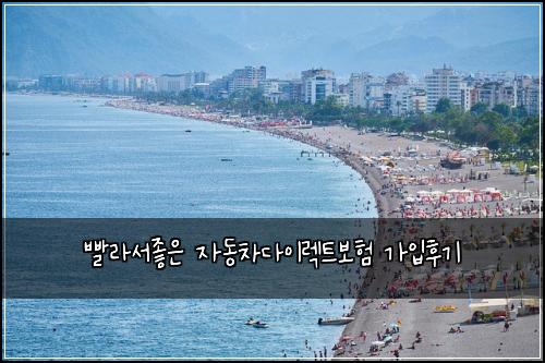 빨라서좋은 자동차다이렉트보험 가입후기