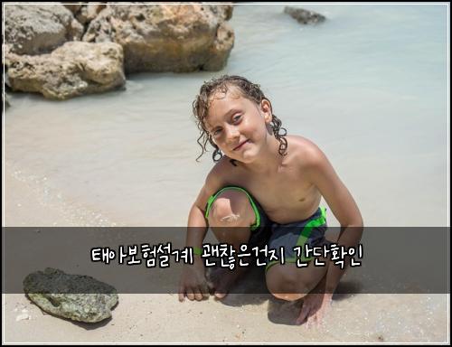 태아보험설계 괜찮은건지 간단확인