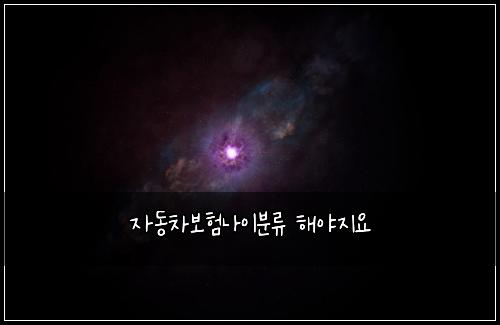 자동차보험나이분류 해야지요