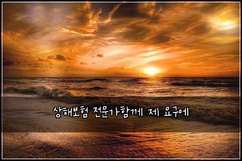 상해보험 전문가함께  제 요구에