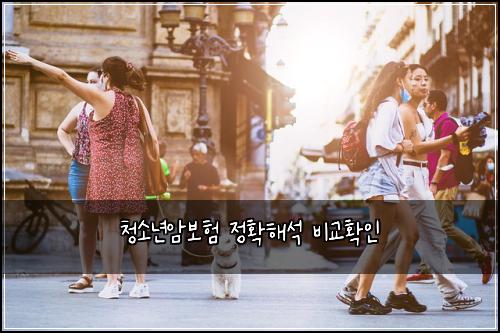청소년암보험 정확해석  비교확인