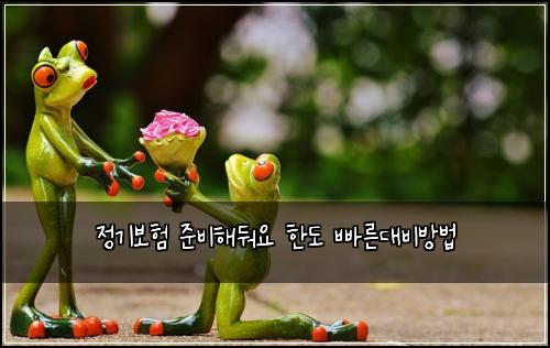 정기보험 준비해둬요  한도 빠른대비방법