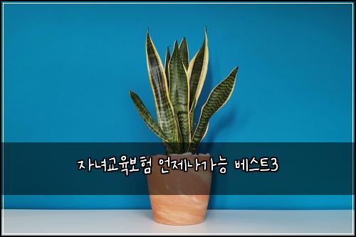 자녀교육보험 언제나가능  베스트3