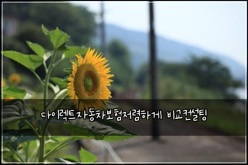 ๋ค์ด๋ ํธ์๋์ฐจ๋ณดํ์ ๋ ดํ๊ฒ ๋น๊ต์ปจ์คํ