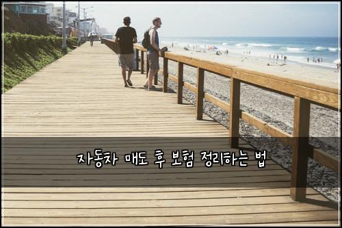 자동차 매도 후 보험 정리하는 법