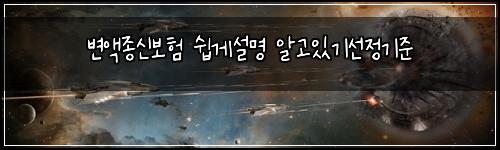 변액종신보험 쉽게설명  알고있기선정기준