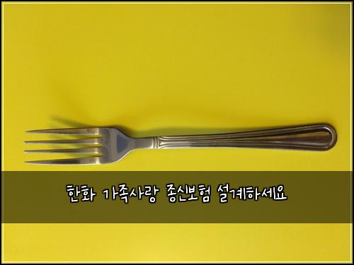한화 가족사랑 종신보험 설계하세요 