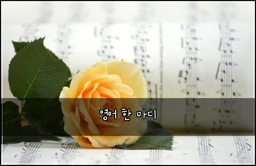 영어 한 마디