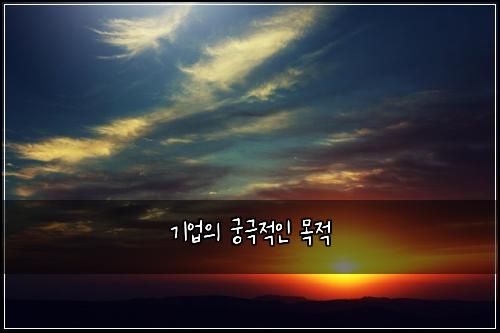 기업의 궁극적인 목적