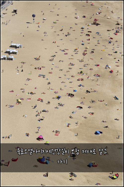육효오엘아이지에건강실비 보험 제대로 알고 가기