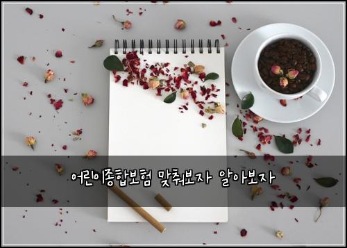 어린이종합보험 맞춰보자  알아보자