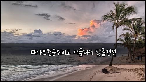 태아보험순위비교 서둘러서 맞춤견적