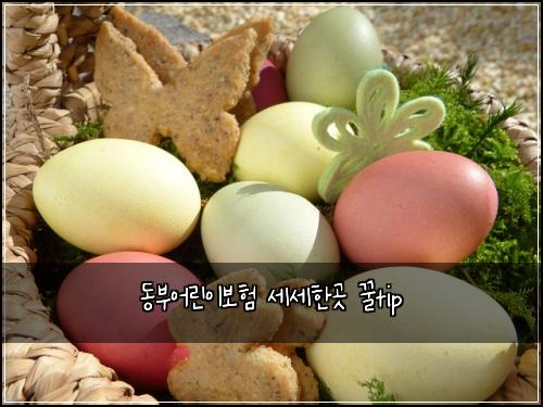 동부어린이보험 세세한곳  꿀tip