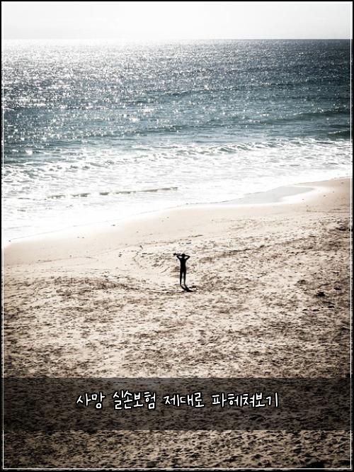 사망 실손보험 제대로 파헤쳐보기