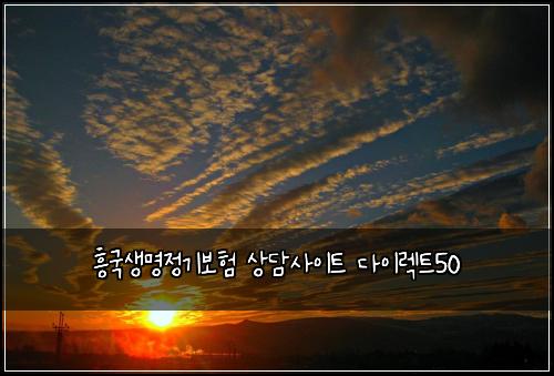 흥국생명정기보험 상담사이트  다이렉트50
