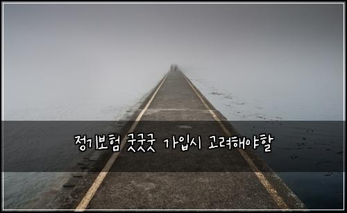 정기보험 굿굿굿  가입시 고려해야할