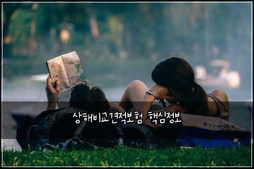 상해비교견적보험 핵심정보 