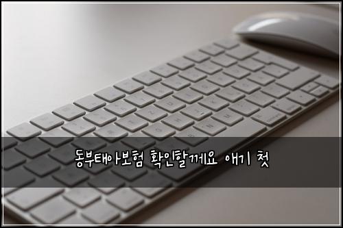 동부태아보험 확인할께요  애기 첫
