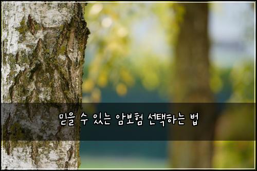 믿을 수 있는 암보험 선택하는 법