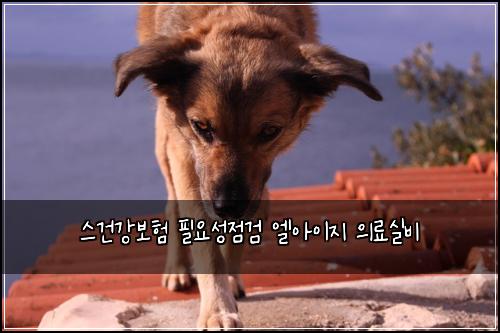 스건강보험 필요성점검  엘아이지 의료실비
