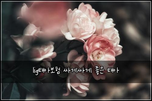 lig태아보험 싸게싸게  좋은 태아