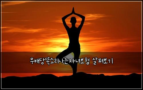 무배당똑소리나는자녀보험 살펴보기