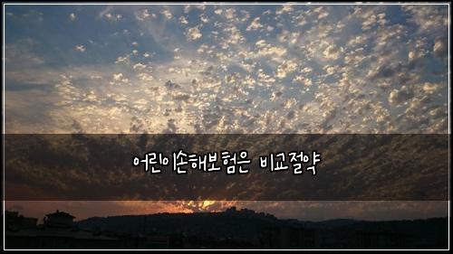 어린이손해보험은 비교절약