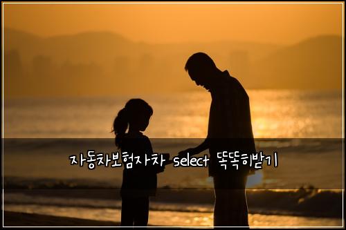 ์๋์ฐจ๋ณดํ์์ฐจ select ๋๋ํ๋ฐ๊ธฐ