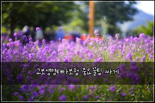 교보생명태아보험 중요꿀팁  싸게