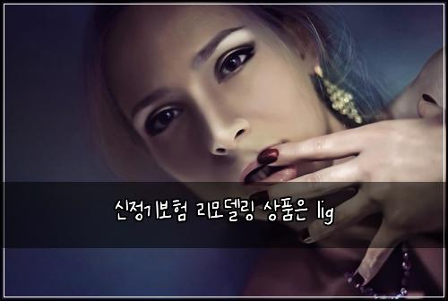 신정기보험 리모델링  상품은 lig