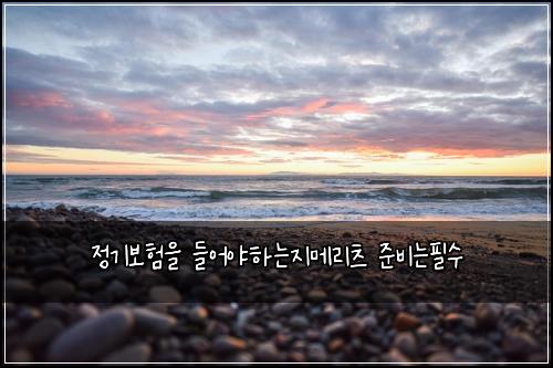 정기보험을 들어야하는지메리츠 준비는필수